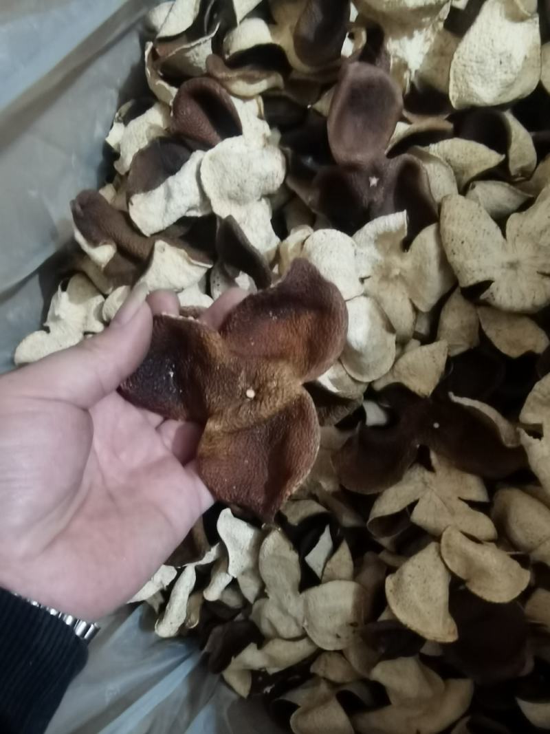 正宗新会冬后大红皮五年十年二十年陈都有全国接单可以线上交易