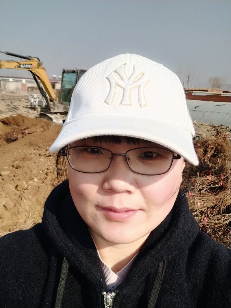 火焰无核葡萄苗，又名弗雷，玻璃脆，红珍珠，红色早熟无核