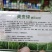 黄叶病，叶变绿叶，详细介绍请看包装说明谢谢！