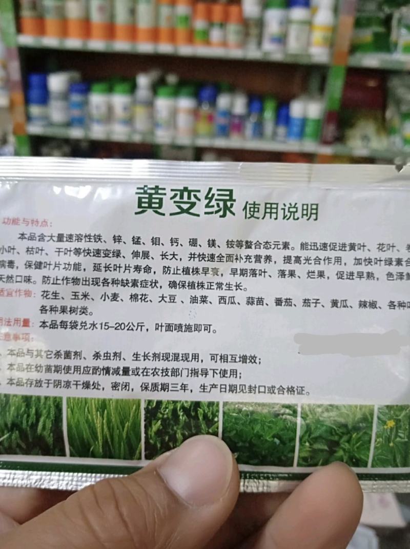 黄叶病，叶变绿叶，详细介绍请看包装说明谢谢！