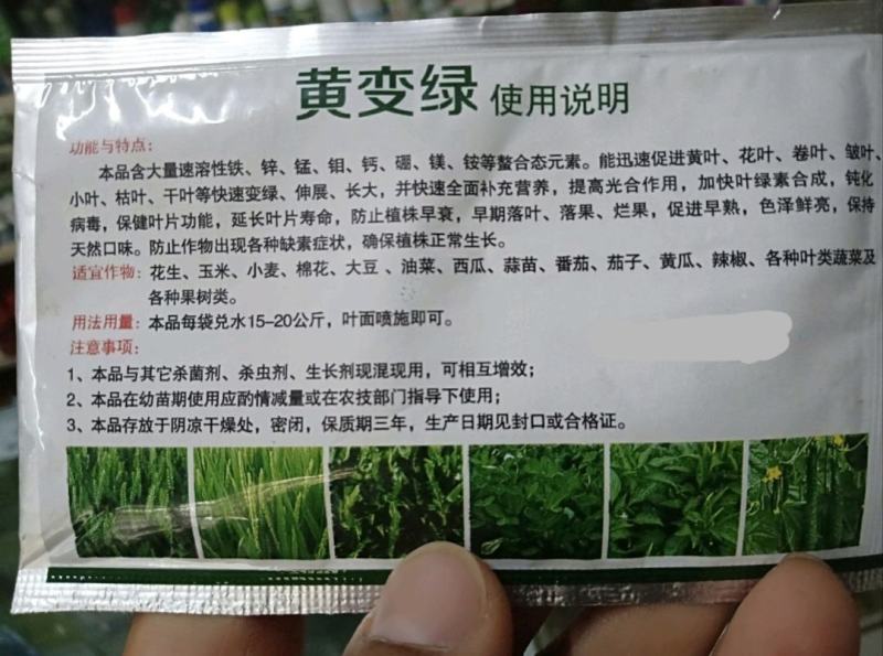 黄叶病，叶变绿叶，详细介绍请看包装说明谢谢！