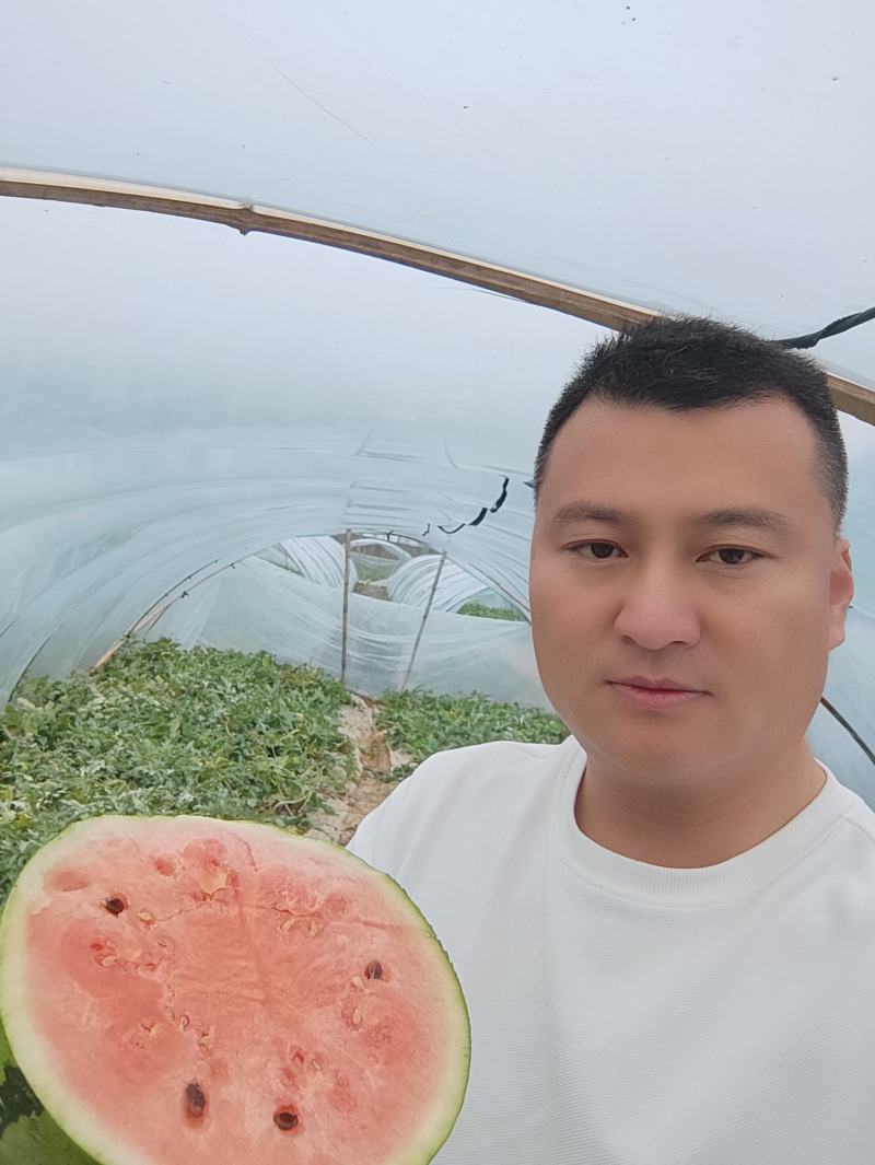 麒麟美都西瓜。现摘现发货。