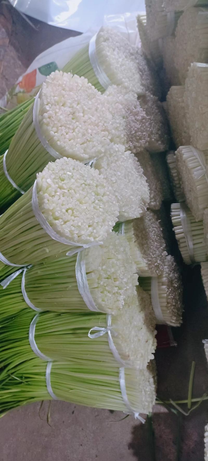 新鲜蒜苔，全国最好吃的彭州蒜苔即将上市，欢迎采购来聊