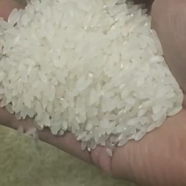 珍珠大米，产地黑龙江省，新米货源充足，正规企业