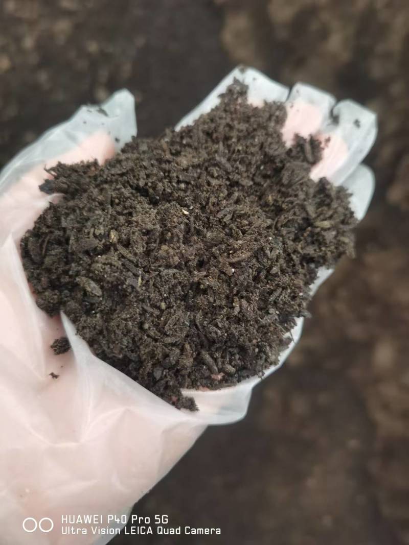 发酵有机肥鸡粪羊粪东台一手货源价格美丽