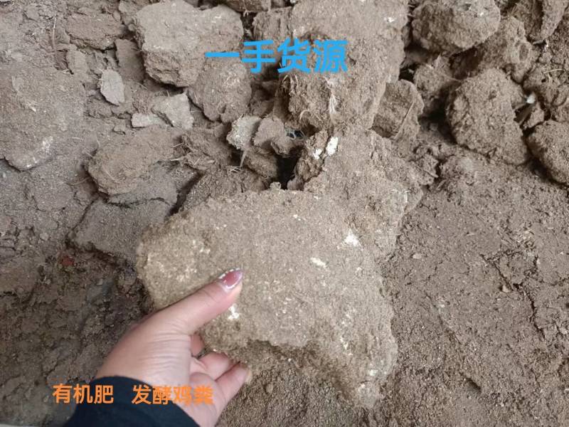 发酵有机肥鸡粪羊粪东台一手货源价格美丽