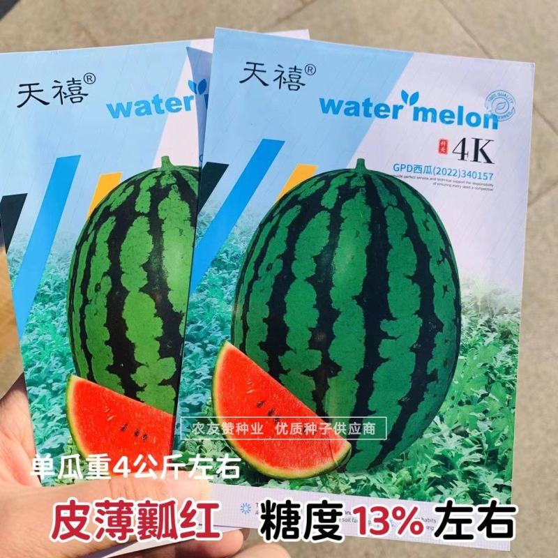 天禧4k西瓜种子高品质礼品西瓜种子皮薄瓤红椭圆形小西瓜