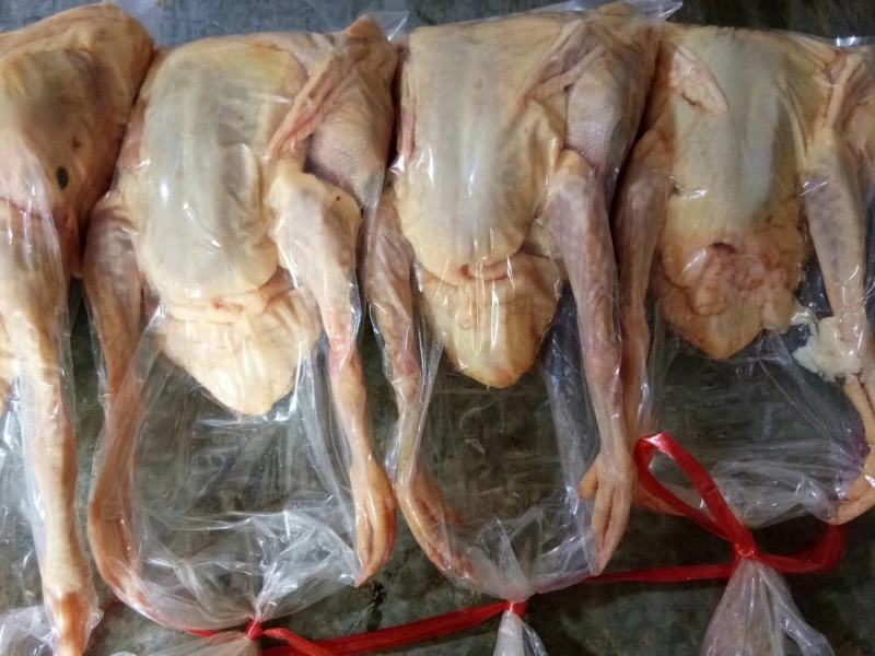 乳鸽白条鸽肉常年大量现货供应，规格齐全！厂家直销欢迎咨咨