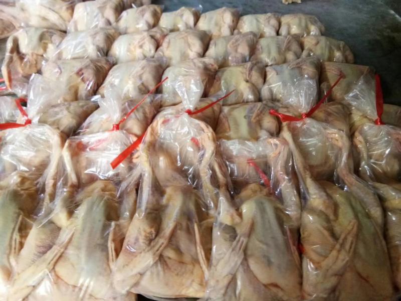 乳鸽白条鸽肉常年大量现货供应，规格齐全！厂家直销欢迎咨咨