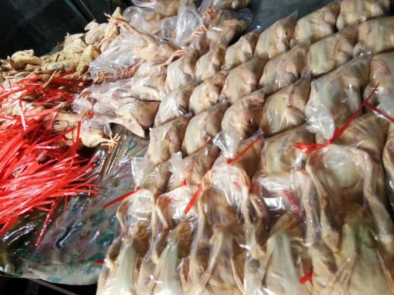 乳鸽白条鸽肉常年大量现货供应，规格齐全！厂家直销欢迎咨咨