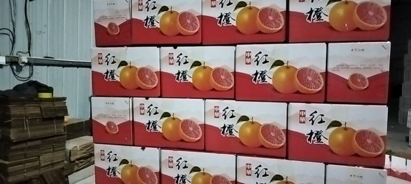 秭归血橙中华红血橙红橙红心橙农户直采电商社团量大从优