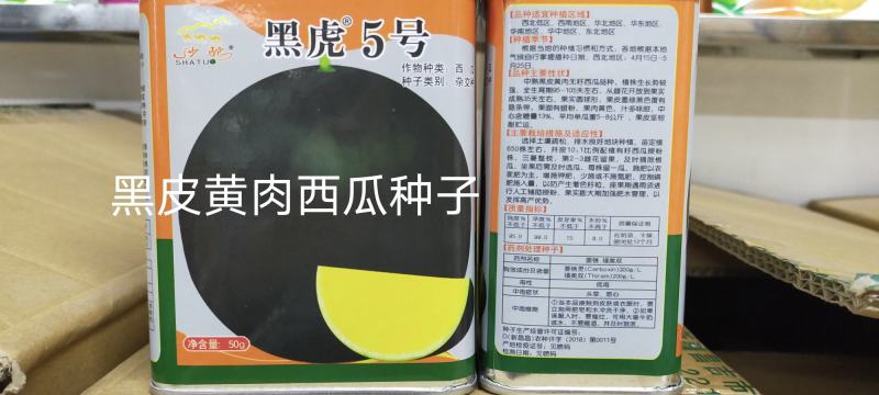 黑皮无籽黄肉西瓜种子中熟大果抗病商品性好不空心不倒瓤