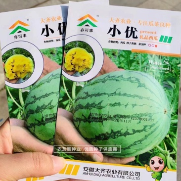 短椭圆形礼品西瓜种子正黄瓤特甜西瓜种子瓜皮黄心西瓜