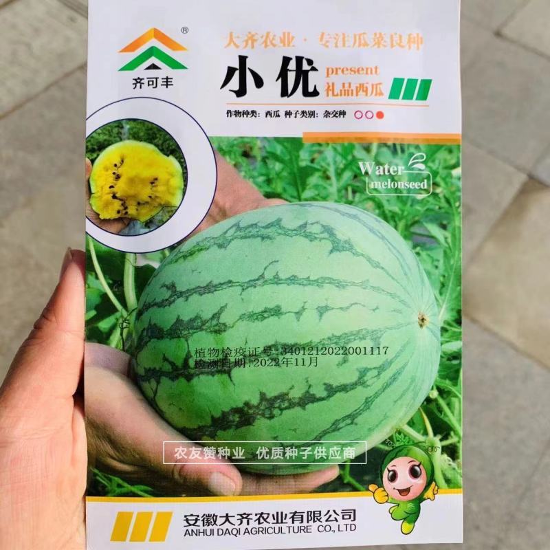 短椭圆形礼品西瓜种子正黄瓤特甜西瓜种子瓜皮黄心西瓜