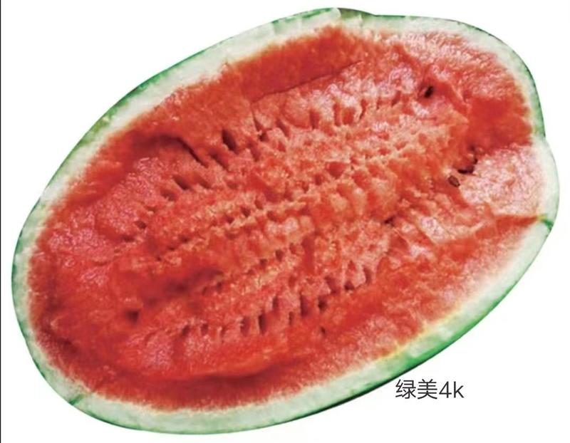 杂交一代绿美4k西瓜种子高糖13.5%皮薄且韧礼品西瓜种