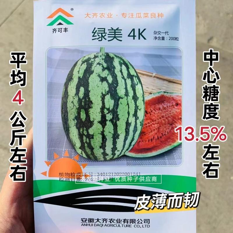 杂交一代绿美4k西瓜种子高糖13.5%皮薄且韧礼品西瓜种
