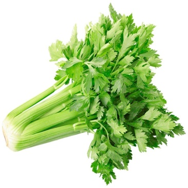 超优选芹菜