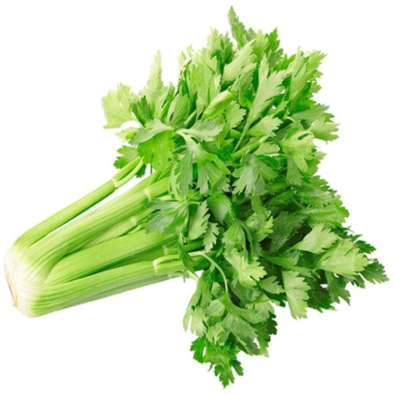 超优选芹菜