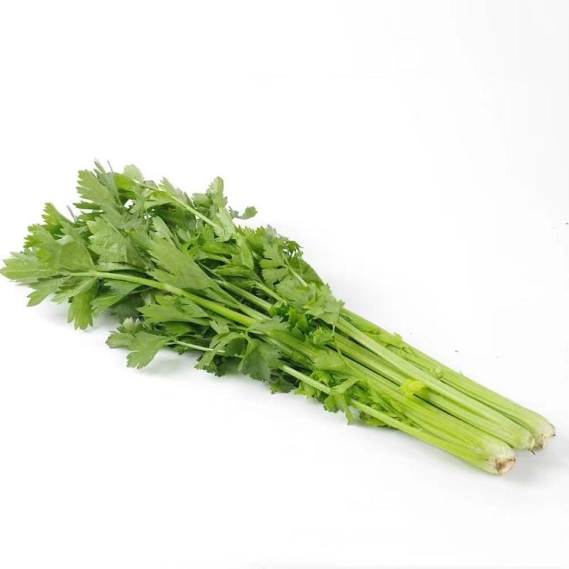 超优选芹菜