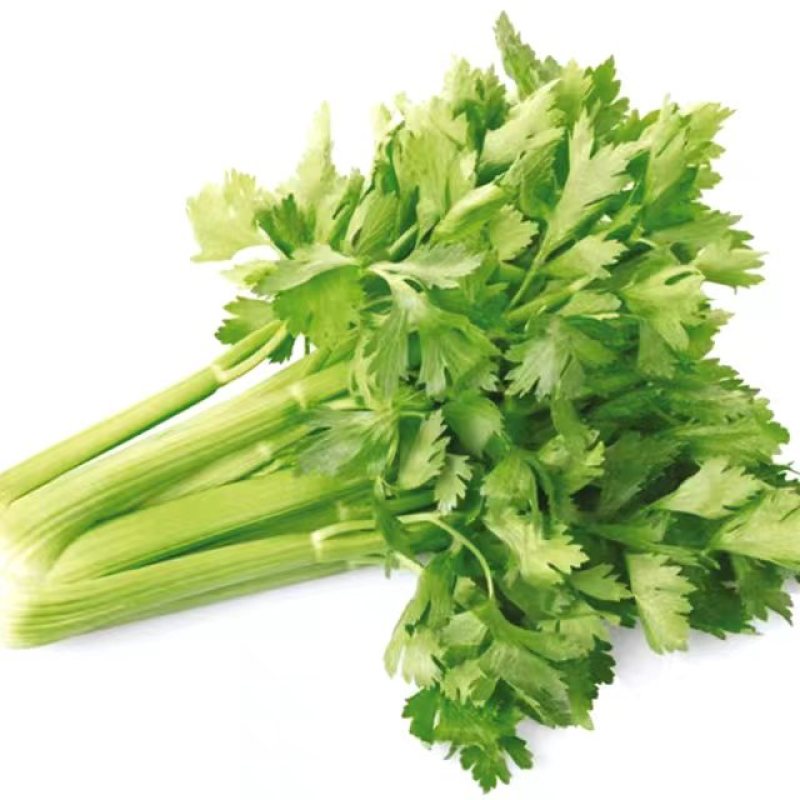 超优选芹菜