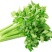超优选芹菜