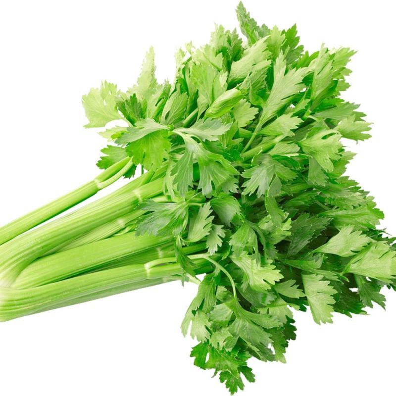 超优选芹菜