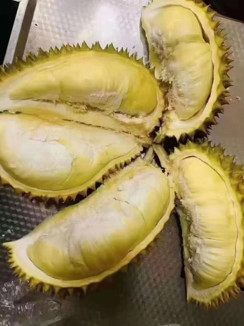 榴莲