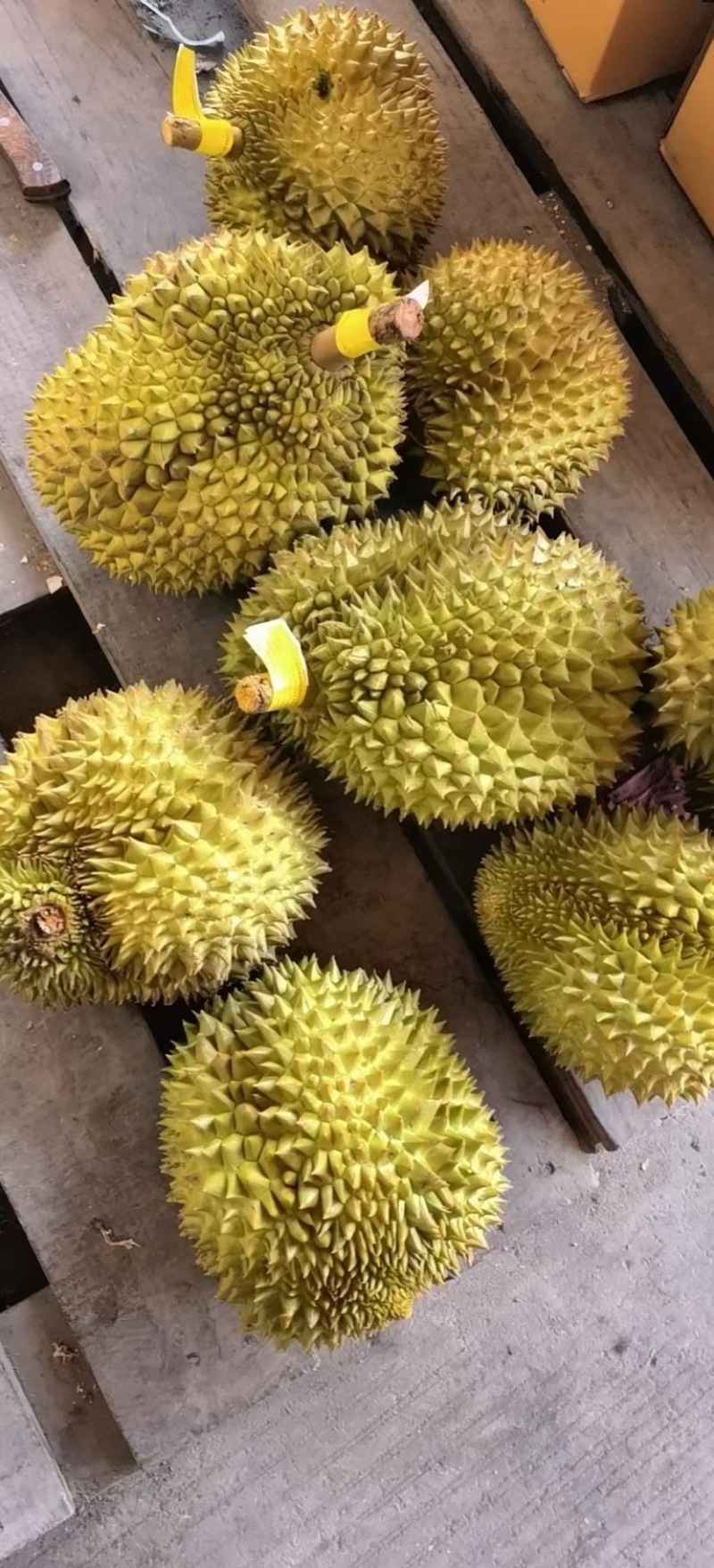 榴莲