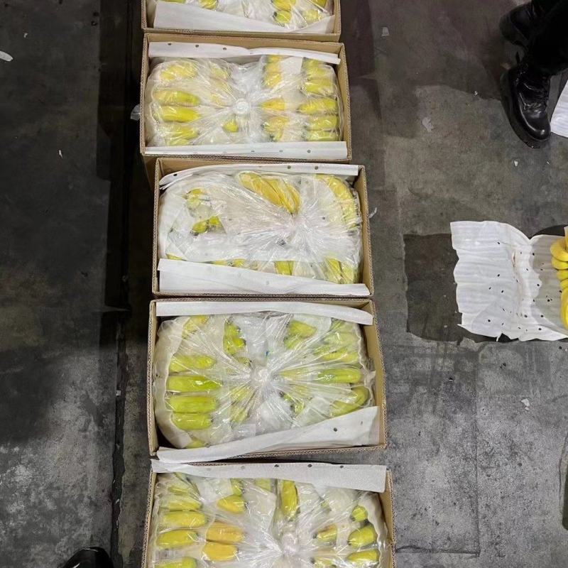 云南纯三把香蕉长年供应黄金焦，特价焦可视频看货保质量