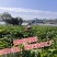 一斤包邮一斤也是批发价英德红茶英红九号春茶