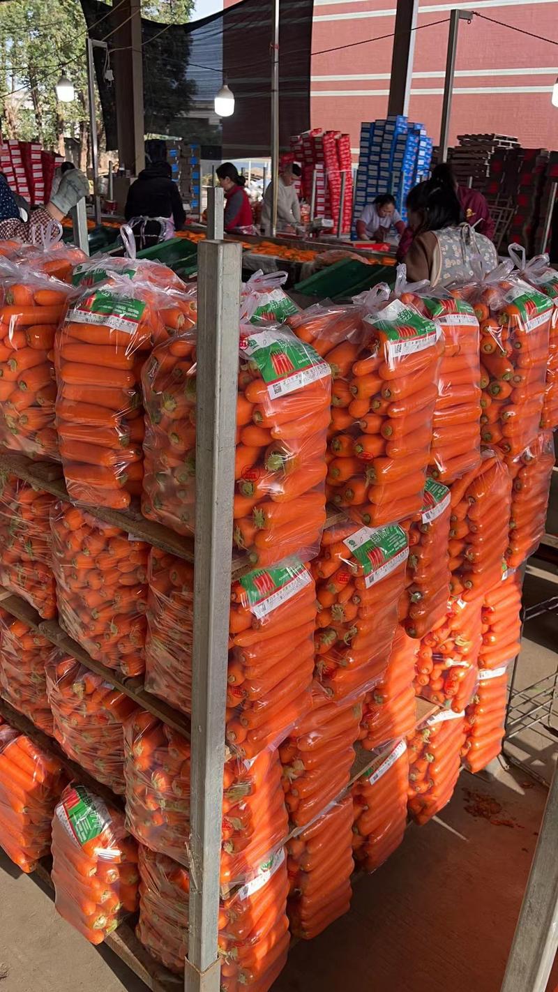胡萝卜直发产地，对接电商平台，销售全国各地，保质保量