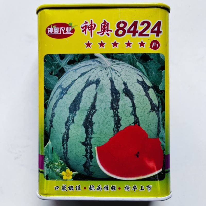 神奥8424西瓜品种种子早熟红瓤，露天大棚均可种植，品种