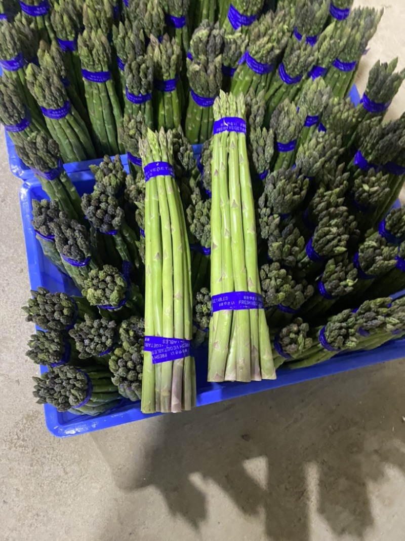 开始特价