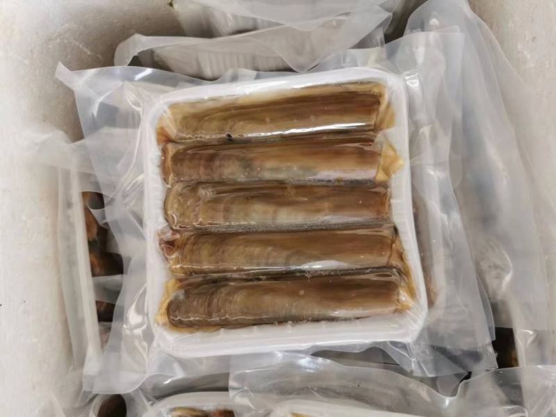 蛏子，带壳蛏子，一斤一袋，个个肥，做工精细，欢迎咨询，