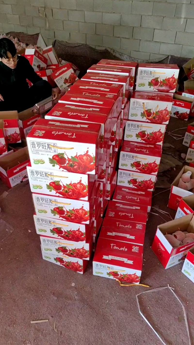 【热卖中】正宗海阳普罗旺斯西红柿，团购，品质有保障