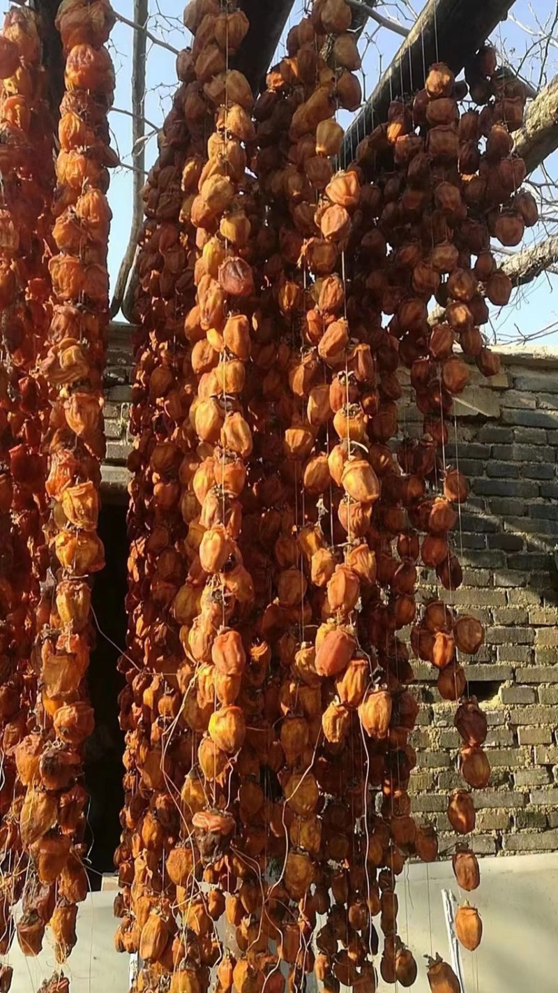 赞皇柿饼500斤