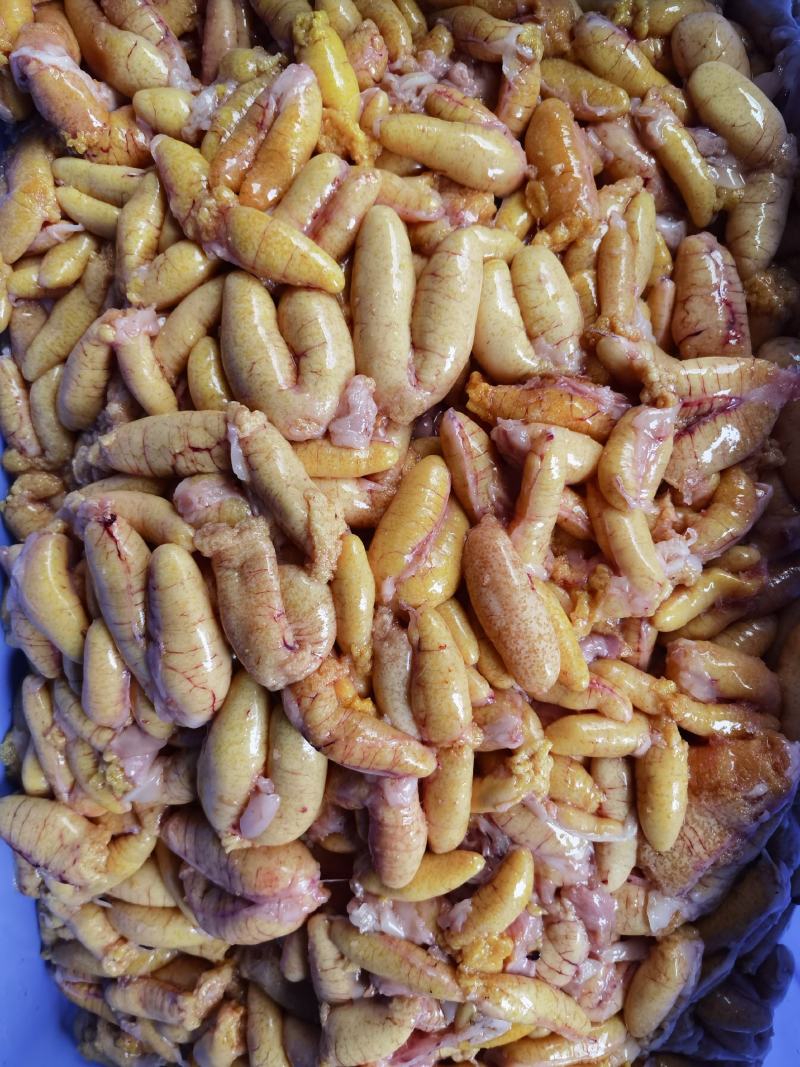 鲜活宰杀鲈鱼鱼籽，鲜活鲈鱼鱼蛋，鲜香酥脆