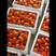 罗曼西红柿西餐厅切片专用一手货源对接全国客商
