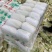 娃娃菜大娃娃菜小娃娃菜各种精品包装电商货市场货