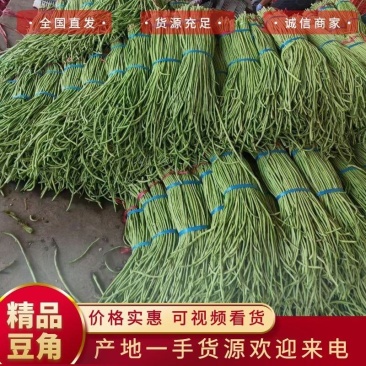 精品长豆角产地发货冷库泡冰水冰砖碎冰齐全