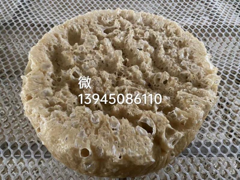 新款手工面筋，纯面筋，不含面！高品质，可预定规格！