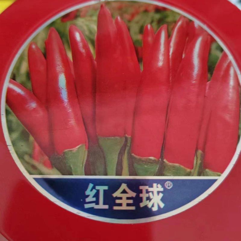 辣椒种子，朝天椒红全球，大果，高辣早熟。详细介绍请看包装