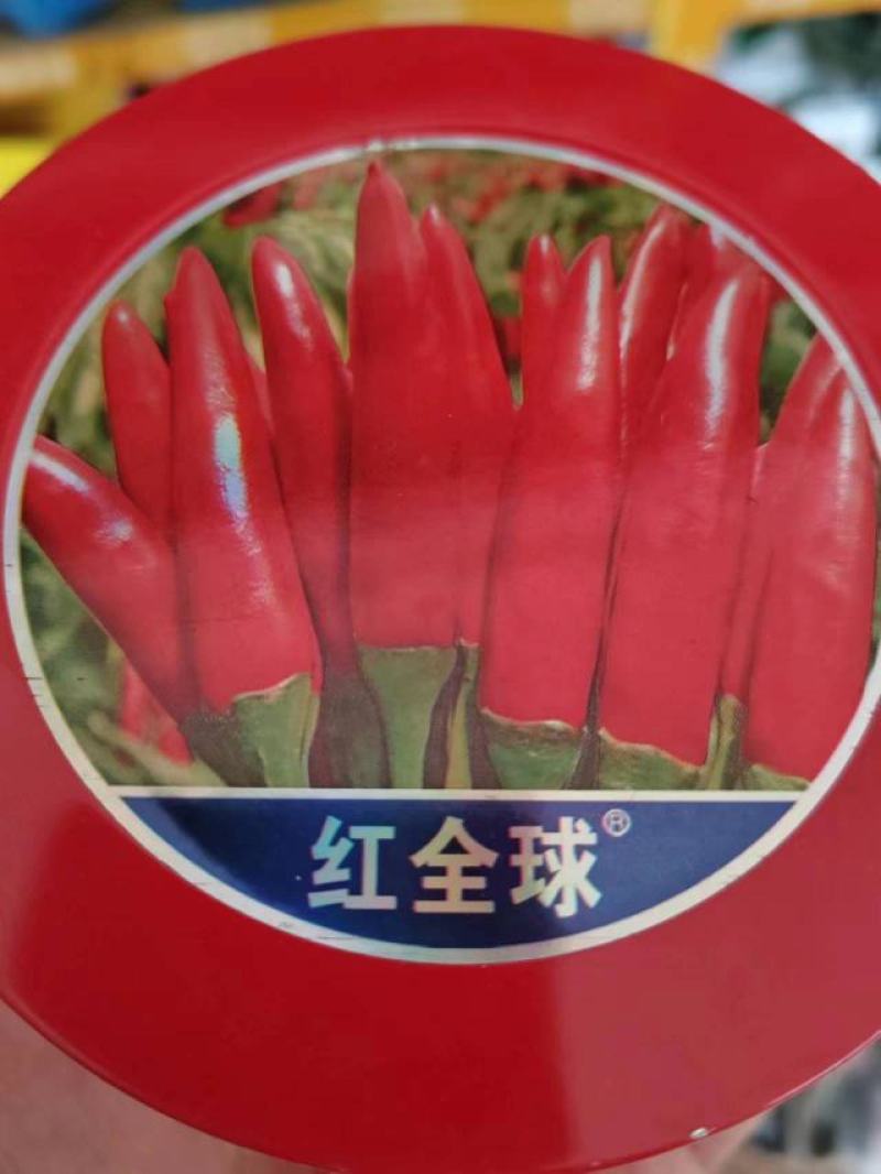 辣椒种子，朝天椒红全球，大果，高辣早熟。详细介绍请看包装