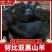 肉羊努比亚黑羊努比亚怀孕母羊羔羊对接养殖户包回收送铡草机