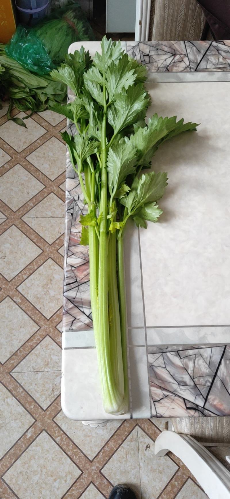 芹菜暖棚杆亮60cm以上量大质优产地直发