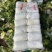 娃娃菜小娃娃菜大娃娃菜各种精品包装常年供应市场