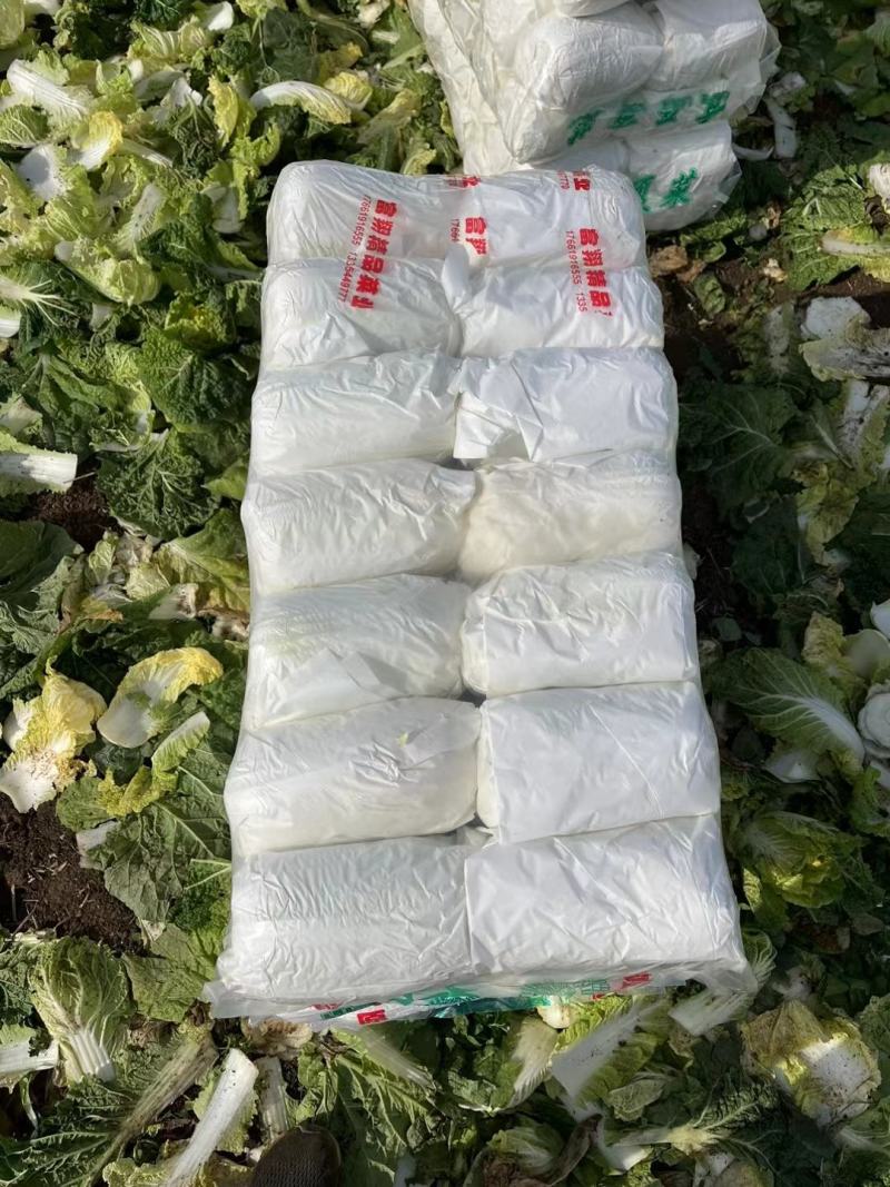 娃娃菜小娃娃菜大娃娃菜各种精品包装常年供应市场