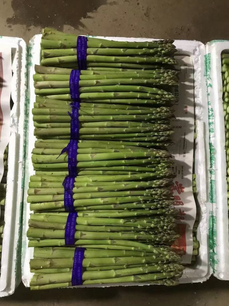 上海崇明绿芦笋基地直销