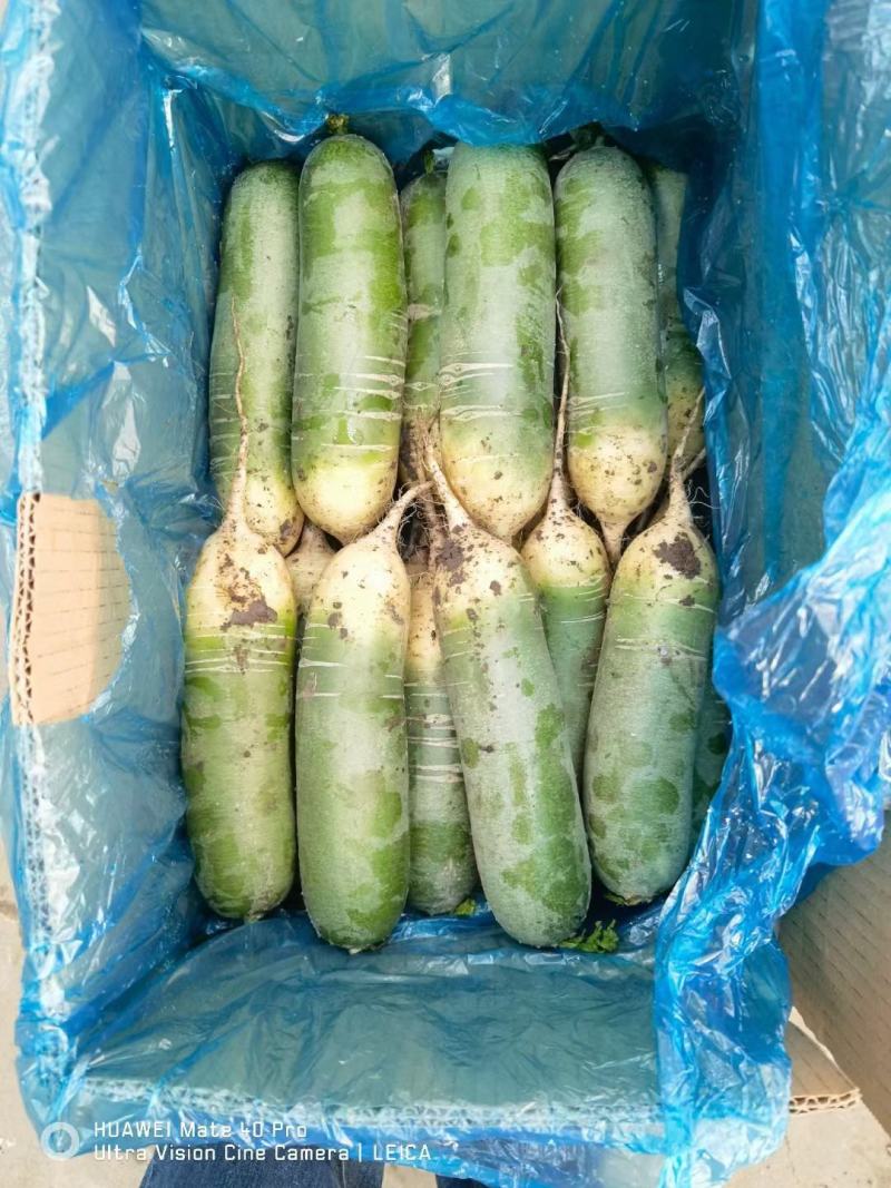 出售水果萝卜