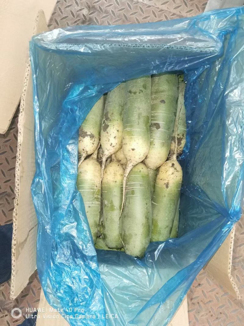 出售水果萝卜
